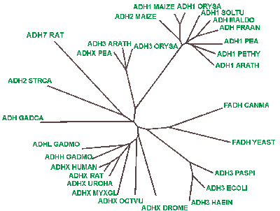 tree.gif (6577 bytes)